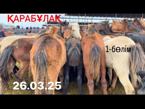 Видео: Жылқы бағасы 1-бөлім 26.03.25 Қарабұлақ мал базары