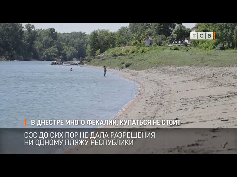 Видео: В Днестре много фекалий, купаться не стоит