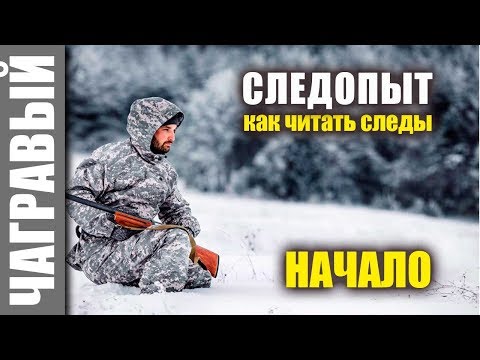 Видео: #Чагравый_следопыт - НАЧАЛО | наука следопытства - чтение следов