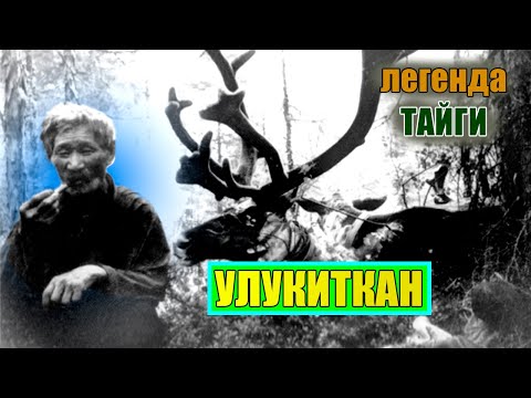 Видео: На это способен был только Улукиткан. Его забрала тайга в 92 года…