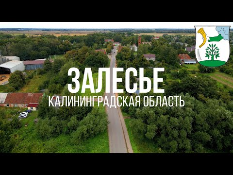 Видео: 4K. Залесье. Полесский район. Калининградская область