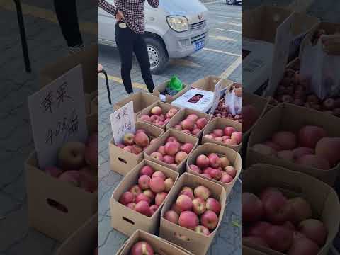 Видео: Хуньчунь 12.10.2024