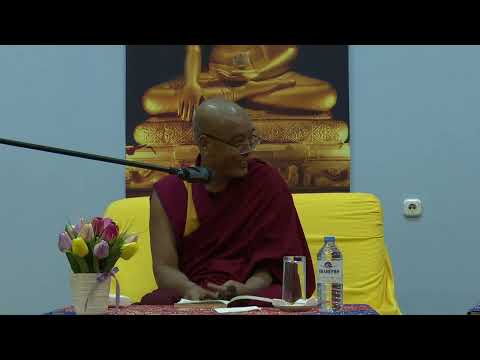 Видео: геше лхарамба Джагба Гьяцо - лекция по теме «Сознание и эмоции» (14.05.24)
