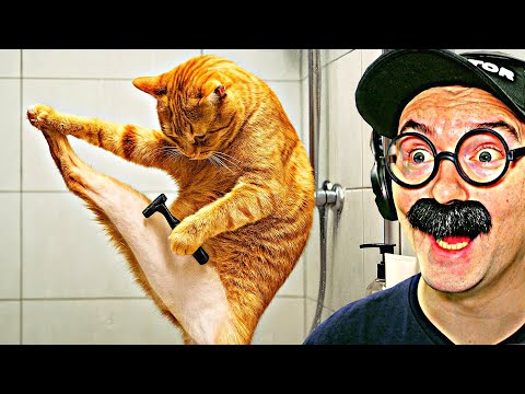 Видео: 100 САМЫХ СМЕШНЫХ ВИДЕО (4 Выпуск)