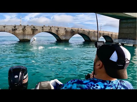 Видео: Тарпон, групер и многое другое. Флорида кей. Часть 1.