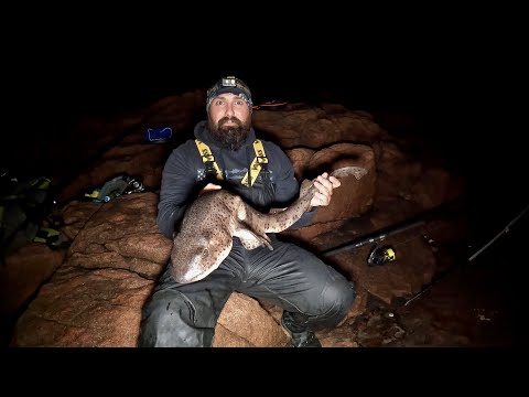 Видео: Ловля морских угрей и бычков – Ловля на мелководье – Ловля с берега – Морская рыбалка в Великобри...