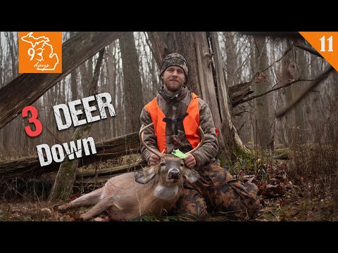 Видео: 3. Охота с ружьём в Дир-Даун, Мичиган, 2024 | 93 дня
