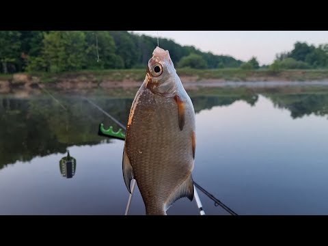 Видео: Отдыхаю на рыбалке.. Быт и устройство лагеря, неспешная рыбалка на Ветлуге.