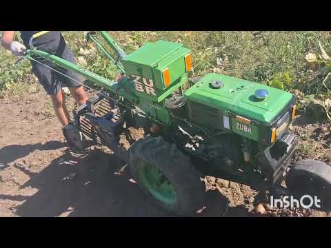 Видео: Копання картоплі 2025