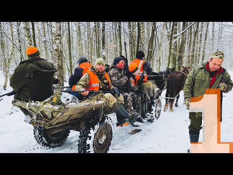 Видео: Охота на Кабана  Закрытие ч.1