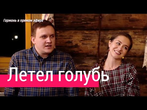 Видео: Очень красивая песня Летел голубь – Ансамбль ПТАШИЦА | Под гитару