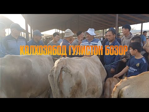 Видео: КАЛХОЗАБОД ГУЛИСТОН БОЗОР 👍 👍 