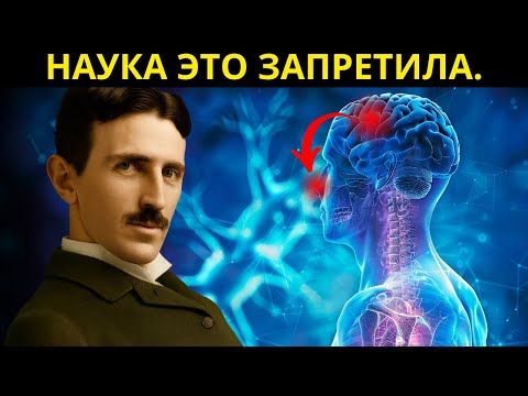 Видео: Секрет 4 дыханий, которые меняют ваш мозг всего за 2 минуты.