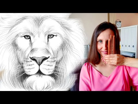 Видео: Как нарисовать льва карандашом. Поэтапный туториал