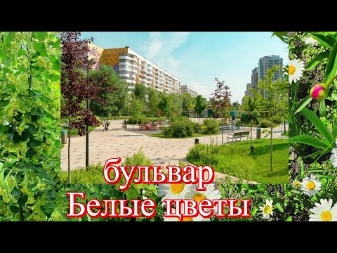 Видео: Бульвары Казани🌤️Бульвар БЕЛЫЕ ЦВЕТЫ🏠 Ак чәчәкләр🌾 Как бороться с колорадским жуком?