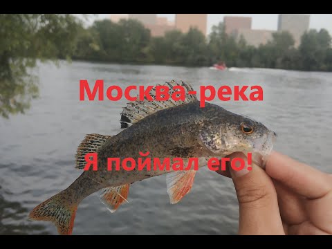 Видео: мормышинг Москва река Красногорский район Новорижский Мост