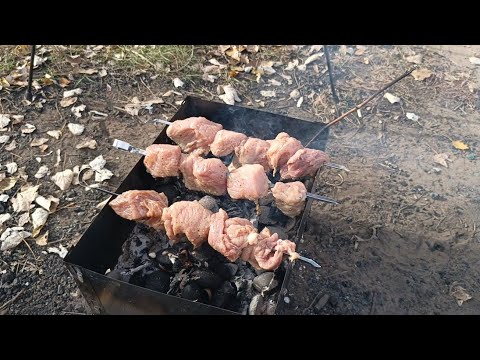 Видео: Шашлык в одного