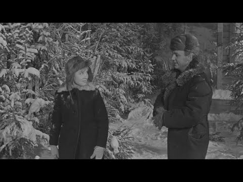 Видео: Старый клён - Девчата (1961) - HD