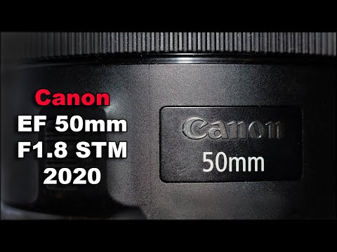 Видео: Объектив Canon EF 50mm F1.8 STM Опыт обзор тест Отзыв