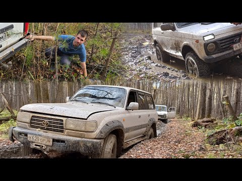 Видео: Внедорожный выезд в лес и колеи на Ниве 3д, мотоцикле и Тойота Ленд Круизер 80