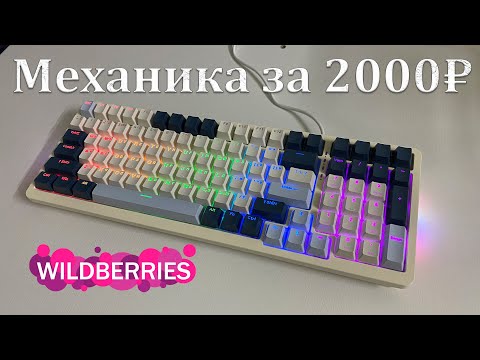 Видео: САМАЯ ДЕШЁВАЯ МЕХАНИЧЕСКАЯ КЛАВИАТУРА ЗА 2000₽ С WILDBERRIES!!!