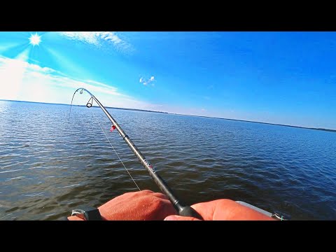 Видео: Этот ОКУНЬ заставил меня попотеть|Рыбалка на окуня в сентябре