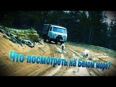 Видео: Аметистовый берег, Кузомень, Онежское озеро 14.2