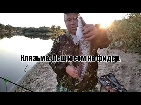 Видео: Рыбалка на реке Клязьма. Часть 1. Вечер. Сом и лещ на фидер.