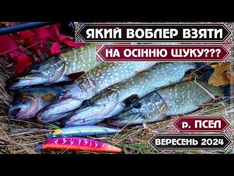 Видео: На ЯКИЙ ВОБЛЕР ЛОВИТИ ЩУКУ ВОСЕНИ ⁉️ ДЕШЕВА РЕПЛІКА 😱😱😱 утерла ніс ЯПОНСЬКИМ ОРИГІНАЛАМ!