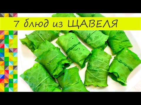 Видео: Что приготовить из Щавеля 7 блюд на любой случай Вкуснятина необыкновенная