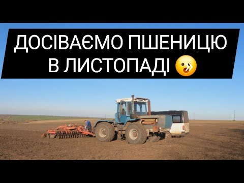 Видео: Як ми закінчували сіяти пшеницю | Поломка ХТЗ і нестача зерна