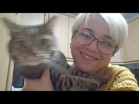 Видео: 7 Ноября .Доброе утро всем ☕️🌹