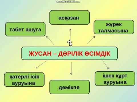 Видео: Жусан өсімдігі Жасыл дәріхана 6 сынып