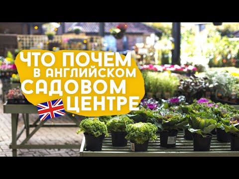 Видео: Английский садовый центр. Ассортимент и цены.