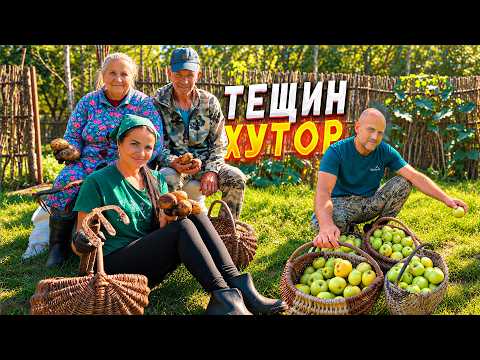 Видео: Уроки жизни от родителей. Лес богат на грибы, яблоки, картошку.Почему белорусы понимают всех славян?