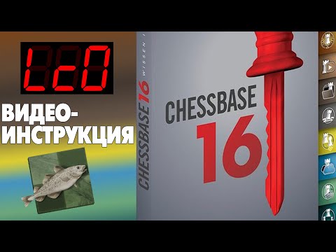 Видео: Chessbase - Лучшая Программа Для Шахматиста - Видеоинструкция