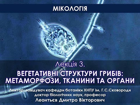 Видео: Мікологія 3. Вегетативні структури грибів