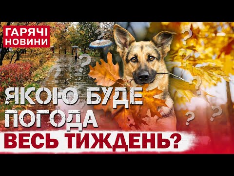 Видео: ПРОГНОЗ ПОГОДИ НА 10 ЛИСТОПАДА! МЕМ ДНЯ! ЯКЕ СВЯТО 10 ЛИСТОПАДА?