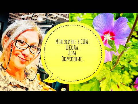 Видео: Жизнь в США/Американская школа/вечеринка с Американцами/убираем бассейн и пилим дерево