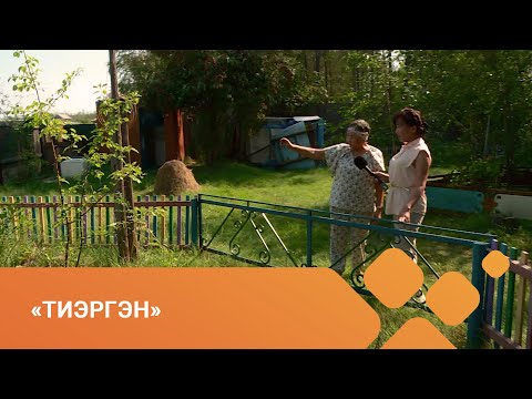 Видео: «Тиэргэн» биэриигэ: Нам ыалыгар Эверстовтарга ыалдьыттаатыбыт (02.08.21)