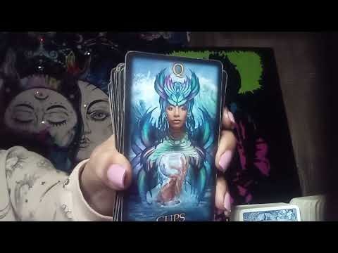 Видео: СКОРПИОН ЛЮБИТ ЧИТАТЬ... ЭТОГО ВЫ НЕ ОЖИДАЛИ... ВАУУУУ 🤑😍