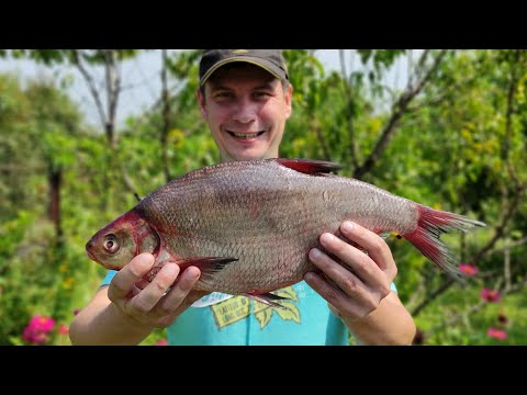 Видео: ЛЕЩ ХОЛОДНОГО КОПЧЕНИЯ В САМОДЕЛЬНОЙ КОПТИЛЬНЕ ЗА 40$