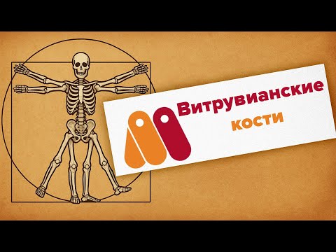 Видео: Витрувианские кости в Moho