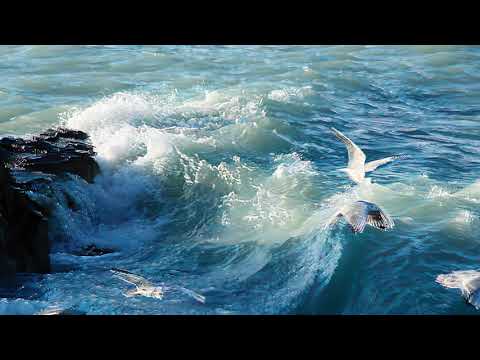 Видео: Волны Балхаша