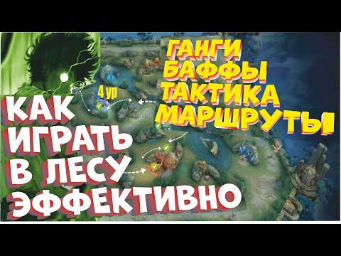 Видео: СОВЕТЫ ДЛЯ ЭФФЕКТИВНОЙ ИГРЫ В ЛЕСУ MOBILE LEGENDS BANG BANG