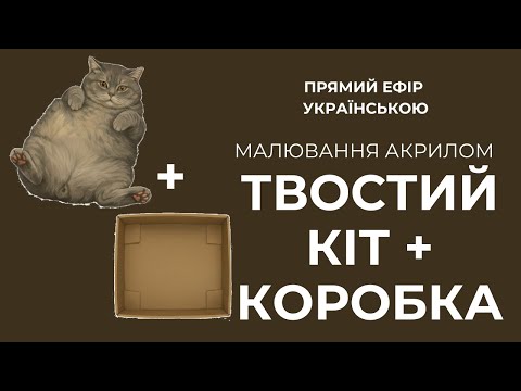 Видео: Товстунчик-котусь у святковій коробці