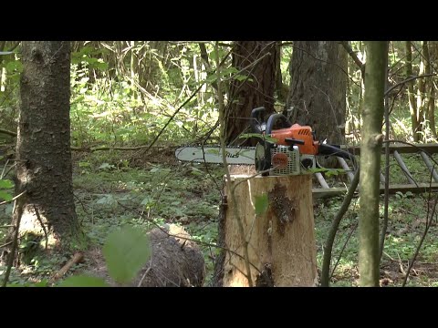 Видео: Идеальная заготовка дров в Беларуси.