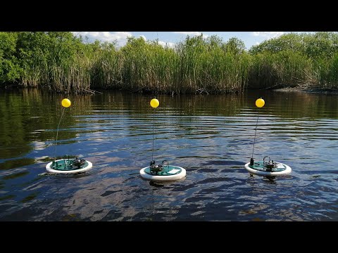 Видео: ЖЕРЛИЦЫ 2022 летние. СРАБОТКА за СРАБОТКОЙ! ЩУКИ РВУТ ЖИВЦОВ! Ловля щуки на жерлицы на лесной речке.