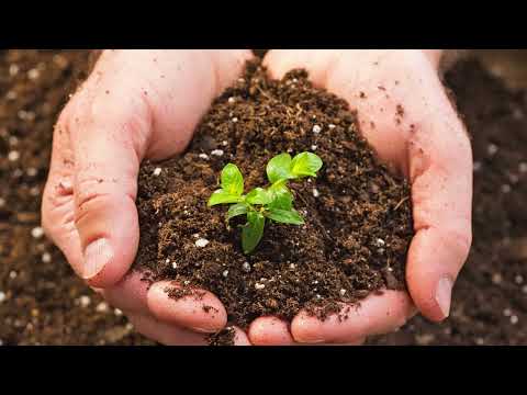 Видео: Охрана растений