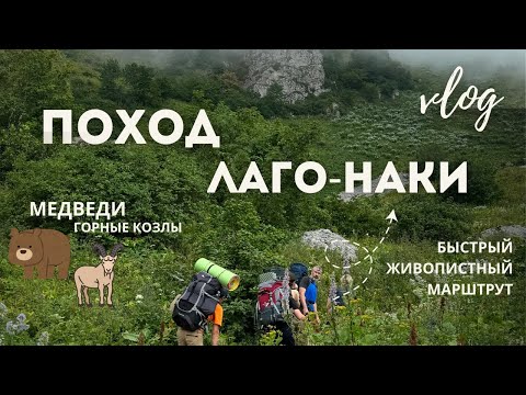 Видео: Поход в горы Лаго-Наки | Озеро Псенодах |Турбаза ЧУБ | Легкий, быстрый, живописный пеший маршрут